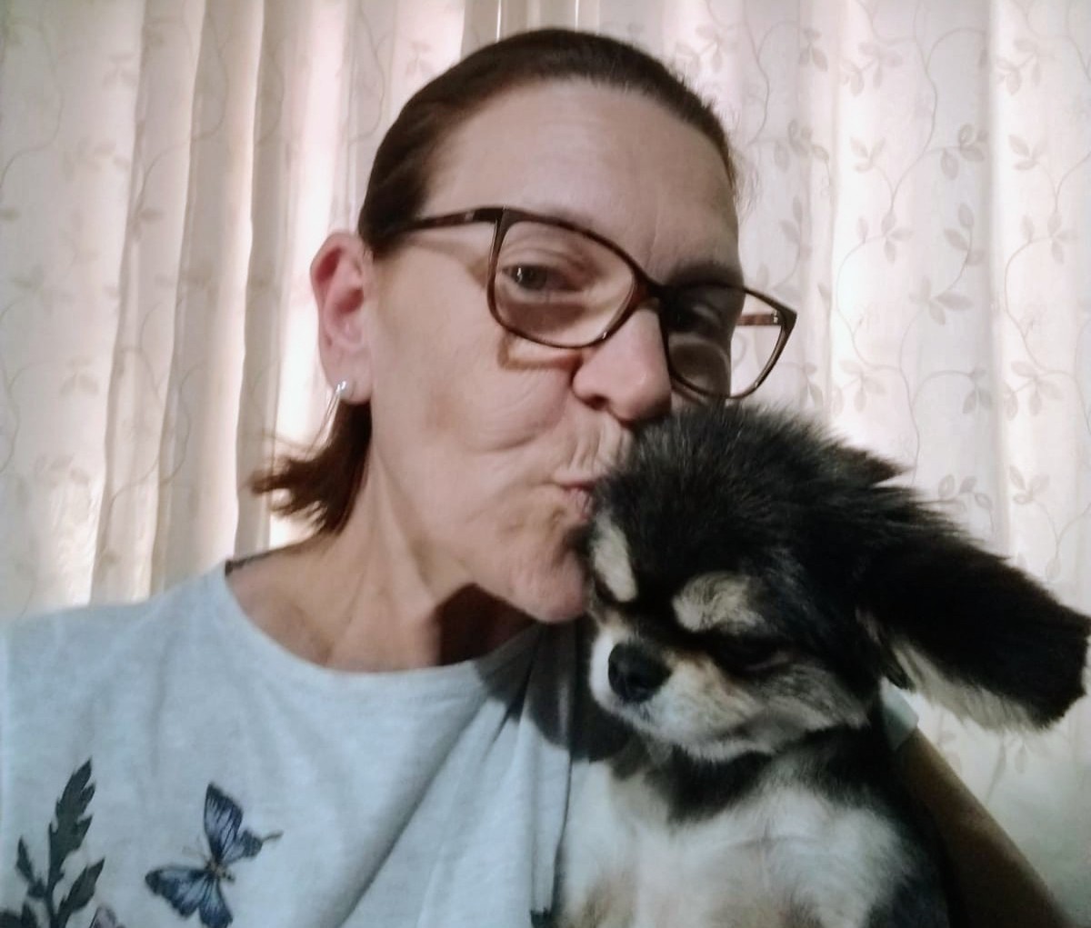 Cachorrinha desaparecida após acidente em Pedras Brancas foi encontrada
