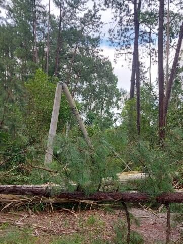 Comunidade de Pedras Brancas segue sem energia elétrica após rajadas de vento deste domingo